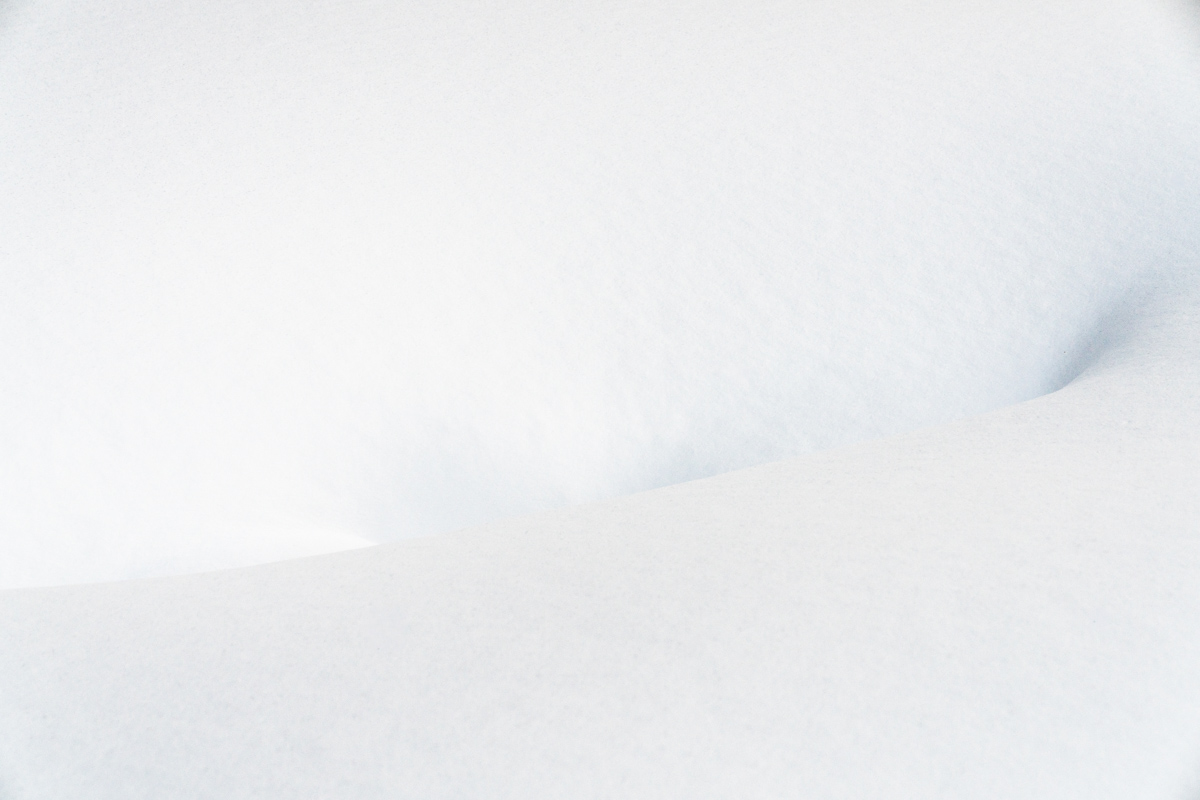 Hollow in Winter White